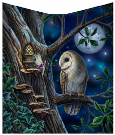 Huňatá Deka/přehoz se sovou FAIRY TALES