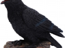 Soška Havran Ravens Cry (figurka se zvukem)  