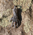 Přívěsek chirurgická Devil´s hand  