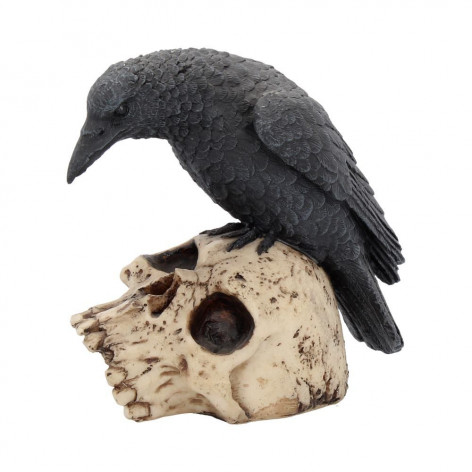 Soška Havran Ravens Remains  