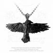 Přívěsek Alchemy Gothic - Havran Black Raven  