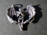 Přívěsek chirurgická ocel VINGED SKELETON  
