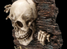 Věšák na klíče Lebka - Skeleton  