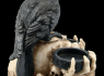 Svícen s havranem The raven's dark light  