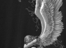 Mikina Spiral se zipem Křídla anděla ENSLAVED ANGEL DT195840 ZIP  