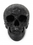 Velká lebka KILLSTAR Nephilim Resin Skull KSRA000207  