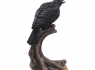 Soška Havran Raven’s Caw 26 cm  