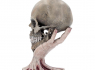 Dekorace lebka METALLICA Sad But True Skull 22cm  