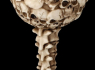 Kalich pohár Skull goblet  