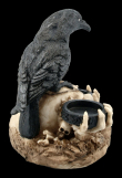 Svícen s havranem The raven's dark light  