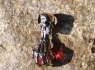 Přívěsek chirurgická ocel lebka - Skull ball hand RED Přívěsek chirurgická ocel lebka - Skull ball hand RED
