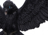Soška na zeď - Havran Flight of the Raven  