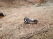 OCELOVÝ PRSTEN LEBKA Wedding Ring  