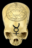 Lebka Magic skull 2  