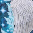 Dámská peněženka Angel Wings  