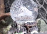 Těžítko - sněžítko - VLK Guardian of the North Snowglobe  