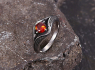 OCELOVÝ PRSTEN GEMSTONE RED EYE  