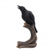 Soška Havran Raven’s Caw 26 cm  