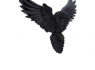 Soška na zeď - Havran Flight of the Raven  
