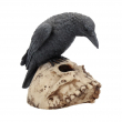 Soška Havran Ravens Remains Soška Havran Ravens Remains