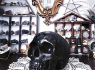 Velká lebka KILLSTAR Nephilim Resin Skull KSRA000207  