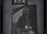  Povlečení Spiral Direct Black Cat  