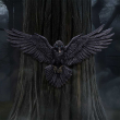 Soška na zeď - Havran Flight of the Raven  