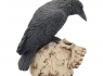 Soška Havran Ravens Remains  
