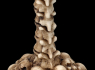 Kalich pohár Skull goblet  