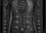 Dámské tričko Spiral Gotická královna GOTHESS WRAP WR153369  