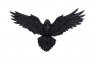 Soška na zeď - Havran Flight of the Raven  