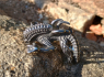 OCELOVÝ PRSTEN - VETŘELEC ALIEN  