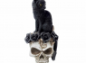 Figurka Alchemy Gothic kočka s lebkou Grimalkin's Ghost  
