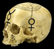Lebka Magic skull 2  