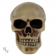 Lebka na řadící páku Skull Gear Knob Bone  