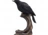 Soška Havran Raven’s Caw 26 cm  