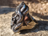OCELOVÝ PRSTEN LEBKA Snake Wrapped Horn Skull OCELOVÝ PRSTEN LEBKA Snake Wrapped Horn Skull