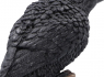 Soška Havran Raven’s Caw 26 cm  