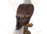 Figurka Orel bělohlavý American bald eagle  