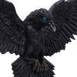 Soška na zeď - Havran Flight of the Raven  