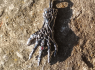 Přívěsek chirurgická Devil´s hand Přívěsek chirurgická Devil´s hand