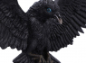 Soška na zeď - Havran Flight of the Raven  