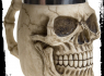 Půllitr korbel (450ml) Grinning Skull Tankard  