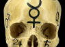 Lebka Magic skull 2  