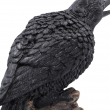 Soška Havran Raven’s Caw 26 cm  