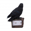 Soška Havran Ravens Cry (figurka se zvukem)  