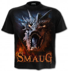 Tričko Spiral PÁN PRSTENŮ HOBBIT – DRAK ŠMAK SMAUG FG301635 