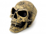 Lebka Alchemy Gothic - Omega Skull  