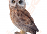 Figurka Sova KALOUS - Long eared owl standing MALÝ  