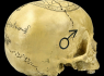 Lebka Magic skull 2  